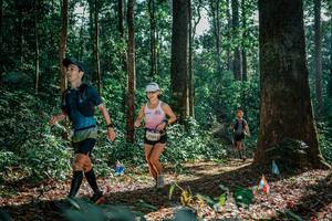 BIB: 
                            <button type="button" onclick="openModal(26129882)" class="btn btn-primary btn-sm float-right btn-popup" data-toggle="modal" data-target=".modal-high-quality">
                        <i class="fas fa-shopping-cart"></i> Add to Cart
                    </button>
                                            <button type="button" onclick="isThisMe(26129882, true)" class="btn btn-success btn-sm float-right btn-popup btn-isme hidden" data-toggle="tooltip" data-placement="bottom" title="นี่คือรูปของคุณใช่ไหม คลิกที่นี่เพื่อเอาเข้าอัลบั้ม">
                        <i class="fas fa-plus"></i> Add to album
                    </button>
                    <button type="button" onclick="isThisMe(26129882, false)" class="btn btn-warning btn-sm float-right btn-popup btn-isnotme hidden">
                        <i class="fas fa-ban"></i> Remove from album
                    </button>